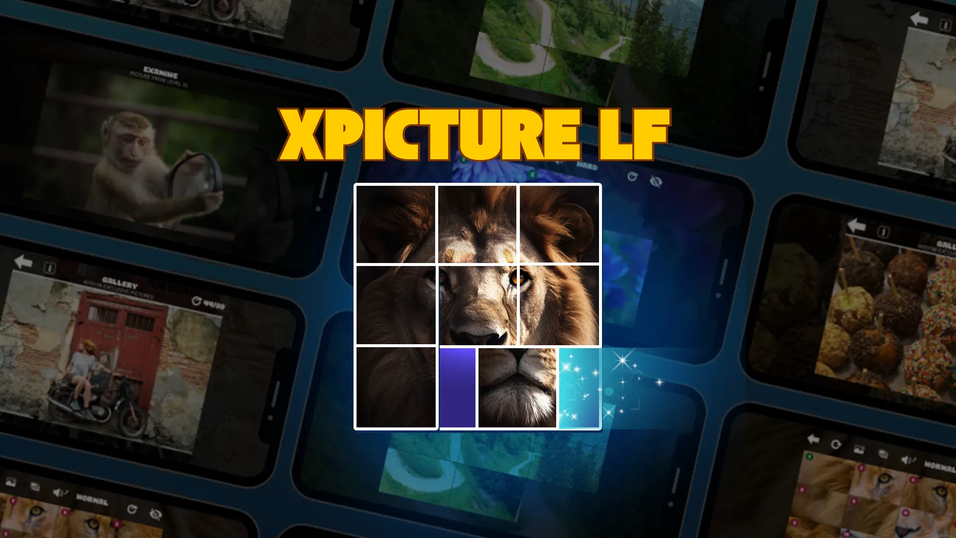 XPicture LF